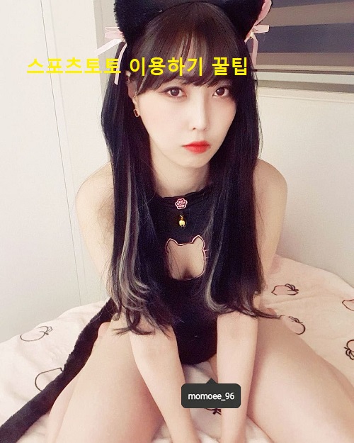 스포츠토토 이용